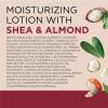 imageDr Teals Body Lotion Cannabis Sativa Hemp Seed Oil ampamp Essential Oils 18 oz Pack of 3Shea Butter  Almond