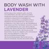 imageDr Teals Body Wash with Pure Epsom Salt Cannabis Sativa Hemp Seed Oil 24 fl oz Pack of 224 Fl Oz Pack of 2