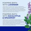 imageDr Teals Foaming Bath with Pure Epsom Salt Cannabis Sativa Hemp Seed Oil 34 fl oz Pack of 234 Fl Oz Pack of 2