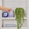 imageDr Teals Pure Epsom Salt Body Scrub Relax ampamp Relief with Eucalyptus ampamp Spearmint Essential Oils 16 oz Pack of 3Lavender