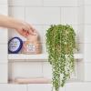 imageDr Teals Pure Epsom Salt Body Scrub Relax ampamp Relief with Eucalyptus ampamp Spearmint Essential Oils 16 oz Pack of 3Pink Himalayan Salt