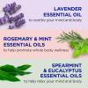 imageDr Teals Pure Epsom Salt Lavender ampamp Eucalyptus Duo Bundle 3 lbs Pack of 2Lavender  Eucalyptus  and Rosemary