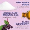 imageDr Teals Shea Sugar Body Scrub Cannabis Sativa Hemp Seed Oil with Essential Oils 19 oz Pack of 3Black Elderberry with Essential Oils