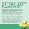 imageDr Teals Shea Sugar Body Scrub Cannabis Sativa Hemp Seed Oil with Essential Oils 19 oz Pack of 3Ceramides  Avocado Essential Oil
