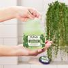 imageDr Teals Shea Sugar Body Scrub Cannabis Sativa Hemp Seed Oil with Essential Oils 19 oz Pack of 3Eucalyptus  Spearmint