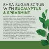 imageDr Teals Shea Sugar Body Scrub Cannabis Sativa Hemp Seed Oil with Essential Oils 19 oz Pack of 3Eucalyptus  Spearmint