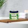 imageDr Teals Shea Sugar Body Scrub Cannabis Sativa Hemp Seed Oil with Essential Oils 19 oz Pack of 3Eucalyptus  Spearmint