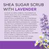 imageDr Teals Shea Sugar Body Scrub Cannabis Sativa Hemp Seed Oil with Essential Oils 19 oz Pack of 3Lavender