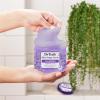 imageDr Teals Shea Sugar Body Scrub Cannabis Sativa Hemp Seed Oil with Essential Oils 19 oz Pack of 3Lavender