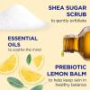 imageDr Teals Shea Sugar Body Scrub Cannabis Sativa Hemp Seed Oil with Essential Oils 19 oz Pack of 3Lemon