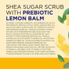 imageDr Teals Shea Sugar Body Scrub Cannabis Sativa Hemp Seed Oil with Essential Oils 19 oz Pack of 3Lemon