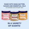 imageDr Teals Shea Sugar Body Scrub Cannabis Sativa Hemp Seed Oil with Essential Oils 19 oz Pack of 3Rose  Shea Butter  Citrus