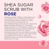 imageDr Teals Shea Sugar Body Scrub Cannabis Sativa Hemp Seed Oil with Essential Oils 19 oz Pack of 3Rose with Essential Oil