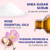 imageDr Teals Shea Sugar Body Scrub Cannabis Sativa Hemp Seed Oil with Essential Oils 19 oz Pack of 3Rose with Essential Oil