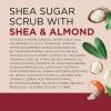 imageDr Teals Shea Sugar Body Scrub Cannabis Sativa Hemp Seed Oil with Essential Oils 19 oz Pack of 3Shea Butter with Almond Oil  Essential Oils
