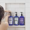imageDr Teals Body Wash with Pure Epsom Salt Soothe ampamp Sleep with Lavender 24 fl oz Pack of 4