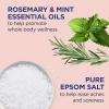 imageDr Teals Pure Epsom Salt Soak Wellness Therapy with Rosemary ampamp Mint 3 lbs Pack of 4Soak