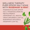 imageDr Teals Pure Epsom Salt Soak Wellness Therapy with Rosemary ampamp Mint 3 lbs Pack of 4Soak